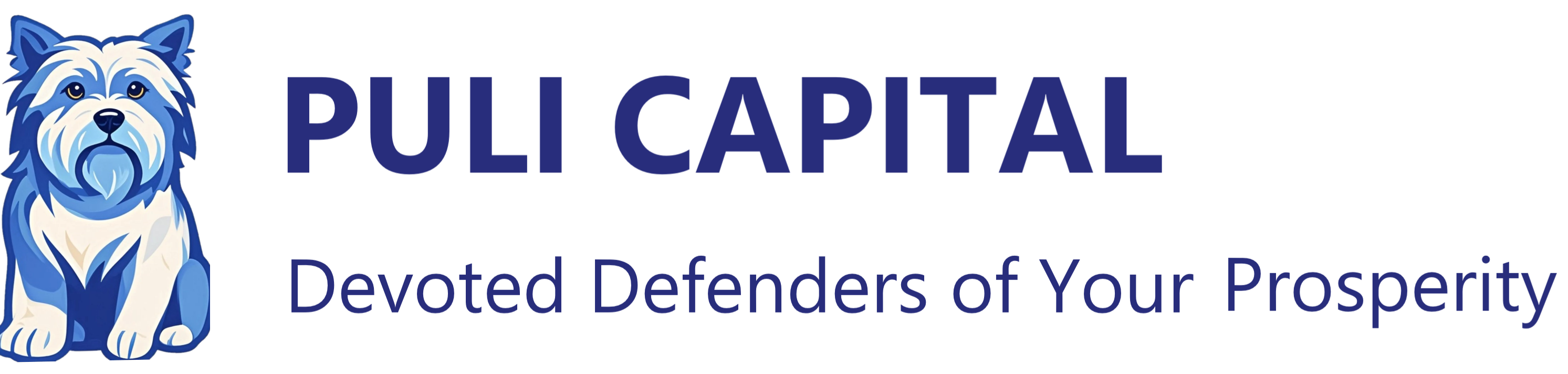 Puli Capital